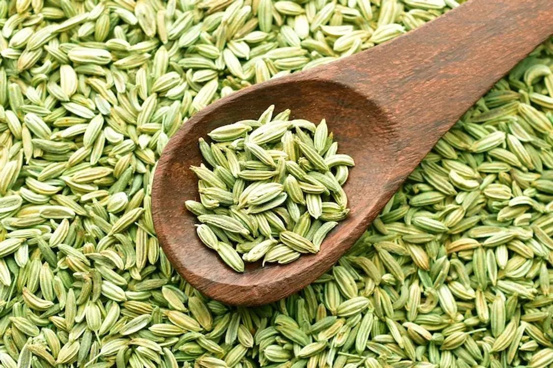 Fennel-20Seeds_webp_75
