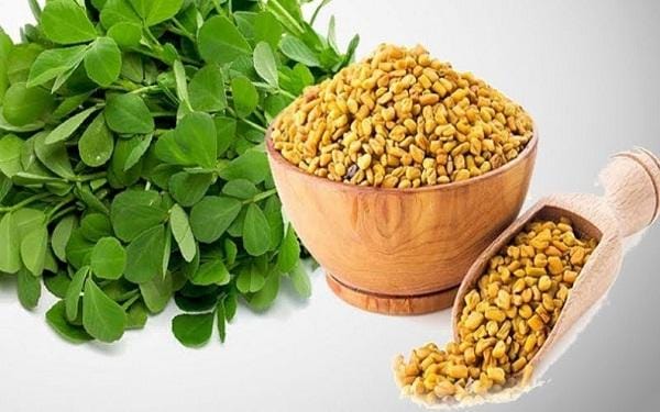 मेथी के फायदे: सेहत के लिए किसी वरदान से कम नहीं