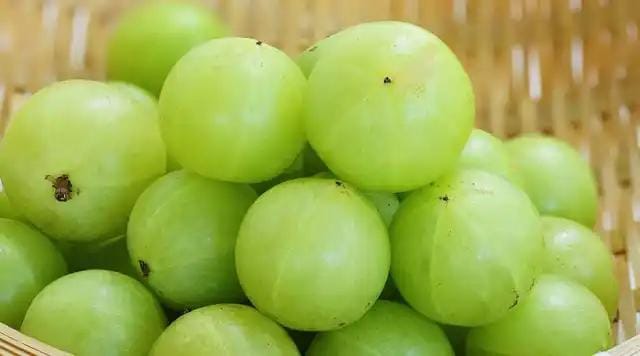 आंवला खाने के फायदे: सेहत का खजाना है यह छोटा फल